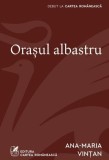 Orasul albastru - Grupul Art