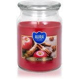 BISPOL Premium Line Apple - Cinnamon lum&acirc;nare parfumată 500 ml