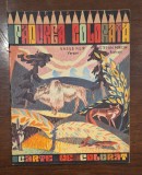 Carte de colorat &bdquo;Pădurea Colorată&rdquo; 1977 &ndash; Vasile Filip / Il. Ştefan Miron, Editura Junimea