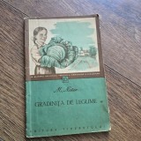 Gradinita de legume - M. Nistor
