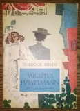 Theodor Storm - Micutul Hawelmann