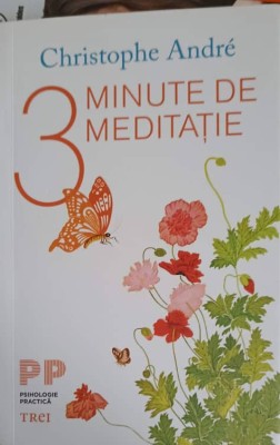 3 MINUTE DE MEDITATIE-CHRISTOPHE ANDRE-273607 foto