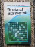 Din Universul Autocunoasterii - Septimiu Chelcea, Adina Chelcea