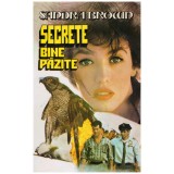 Sandra Brown - Secrete bine pazite - 129878