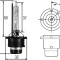 Bec Xenon Hella D2S 85V 35W 8GS 007 949-261