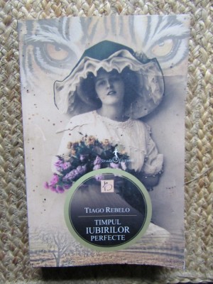 Timpul iubirilor perfecte-Tiago Rebelo foto