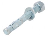 Bolt Anchor 12mm x 100mm FWA - Pack of 25