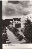 CPIB 22656 - CARTE POSTALA - GOVORA. B-dul TUDOR VLADIMIRESCU, RPR, NECIRCULATA, Fotografie