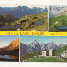 FA17 - Carte Postala- ITALIA - Laghi D'Olbe, circulata 1991