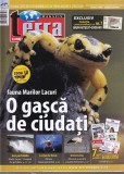 Cumpara ieftin Terra Magazin Nr. 3 2012 Istorie Romana Brosata 66 Pagini Dimensiune 21x28cm Stare Buna