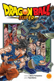 Dragon Ball Super - Vol 13