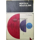 Biofizica moleculara - 1968 - Claude Nicolau ($O156)