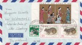 FILATELIE TEMATICA - PLIC JAPONIA TEMATICA FAUNA IEPURI AIRMAIL, Stampilat