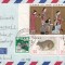 FILATELIE TEMATICA - PLIC JAPONIA TEMATICA FAUNA IEPURI AIRMAIL
