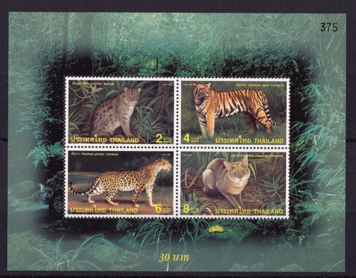 THAILANDA 1998 PISICI SALBATICE