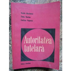 VASILE NICOLESCU - AUTORITATEA TUTELARA - 1965