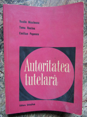 VASILE NICOLESCU - AUTORITATEA TUTELARA - 1965 foto