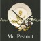 Mr. Peanut - Adam Ross
