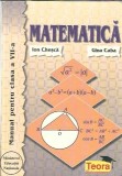 Matematica. Manual pentru clasa a VII-a - Gina Caba, Ion Chesca