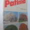 Patima - Mircea Micu