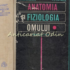 Anatomia Si Fiziologia Omului - I. C. Voiculescu, I. C. Petrescu