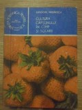 Cultura Căpșunului &icirc;n C&acirc;mp și Solarii - Grigore Mihaescu, Ceres 1986, Agronomie, 162pg, Ghid Practic