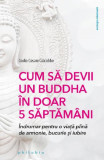 Cum să devii un Buddha &icirc;n doar 5 săptăm&acirc;ni