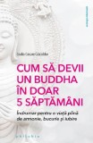 Cumpara ieftin Cum să devii un Buddha &icirc;n doar 5 săptăm&acirc;ni, Philobia