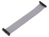 Cablu panglică SAMTEC IDC 114,3mm FFSD-13-D-04.50-01-N cu conectori IDC ambele părți