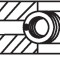 MAHLE 040 06 N0 Set segmenti piston
