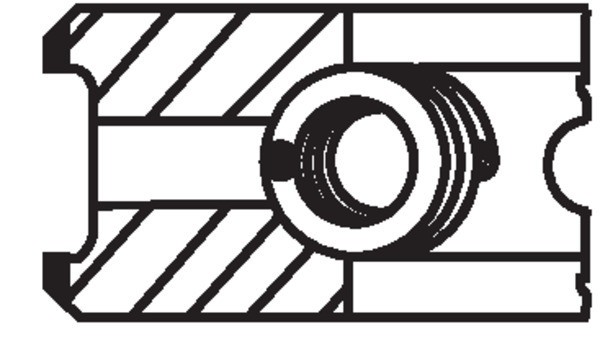 MAHLE 030 48 N0 Set segmenti piston