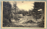 AD 229 C. P. VECHE - URSULINEN -KLOSTER LIEBENTHAL -BEZ.LIEGNITZ- CALUGARITE