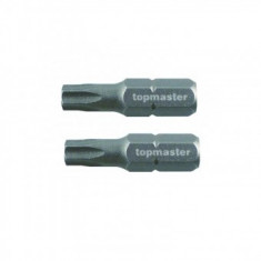 Set 2 biti torx Topmaster 330358, T25, prindere hexagon 1/4", magnetici