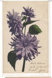 CPIB 16779 CARTE POSTALA - FELICITARE, FLORI, DALII, VECHE, 1932
