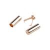 Set 2 capete metalice cu sigurante pentru snur Crisalida, 6 mm, Auriu