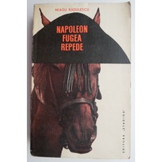 Napoleon fugea repede &ndash; Neagu Radulescu