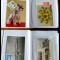 Album Romania 1959-2007 - colectie 90 maxicarduri, carti maxime, cp ilustrate