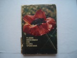 Plante medicinale din flora spontana - Constantinescu Corneliu, Agopian Artin, 1967, Alta editura