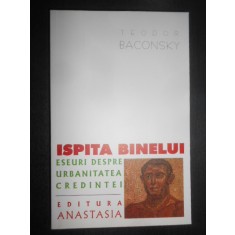Teodor Baconsky - Ispita binelui. Eseuri despre urbanitatea credintei