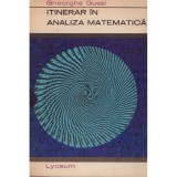 Gheorghe Gussi - Itinerar in analiza matematica - 128457