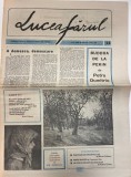 Cumpara ieftin Luceafarul nr 14 mai 1990, Almanah, 16 pagini, romana, coperti brosate, stare buna