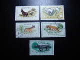 ETIOPIA FAUNA