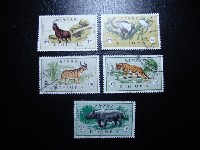 ETIOPIA FAUNA