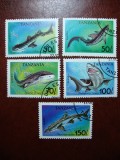 TANZANIA SERIE RECHINI