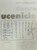 Mihai Sarbulescu - Despre Ucenicie (Anastasia, 2001) artisti romani: Horia Bernea, Constantin Flondor, Ion Grigorescu, Sorin Dumitrescu, Paul Gherasim