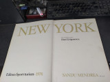 New York, album Sandu Mendrea, text Dan Grigorescu, București 1976, 115