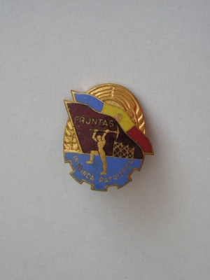 QW9 L 4 - Insigna - tematica comunism - Fruntas in munca patriotica foto