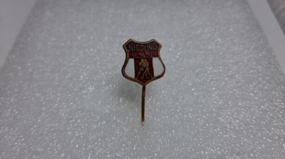 insigna Nicolina Iasi foto