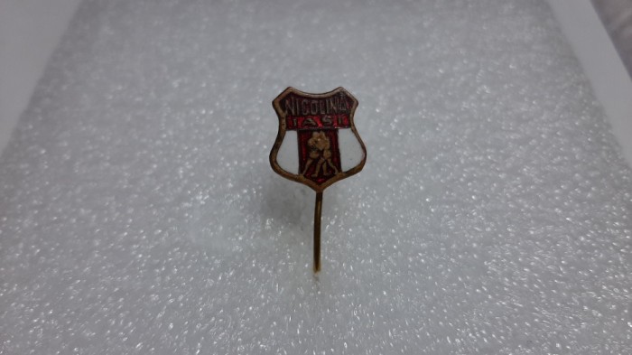 insigna Nicolina Iasi