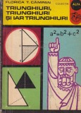 Florica T. Campan - Triunghiuri, triunghiuri si iar triunghiuri